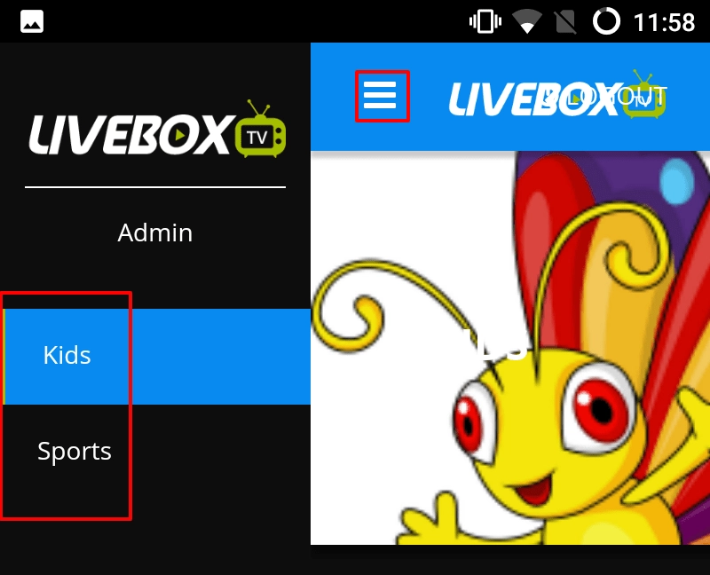 Livebox IPTV set up